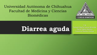 Diarrea aguda
7-8
Yunuen María Leyva Miranda
David Sáenz Mujica
Carolina Ramos Lozoya
Universidad Autónoma de Chihuahua
Facultad de Medicina y Ciencias
Biomédicas
 
