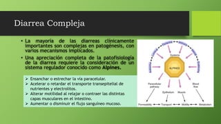 Diarrea Compleja
• La mayoría de las diarreas clínicamente
importantes son complejas en patogénesis, con
varios mecanismos implicados.
• Una apreciación completa de la patofisiología
de la diarrea requiere la consideración de un
sistema regulador conocido como Alpines.
 Ensanchar o estrechar la vía paracelular.
 Acelerar o retardar el transporte transepitelial de
nutrientes y electrolitos.
 Alterar motilidad al relajar o contraer las distintas
capas musculares en el intestino.
 Aumentar o disminuir el flujo sanguíneo mucoso.
 