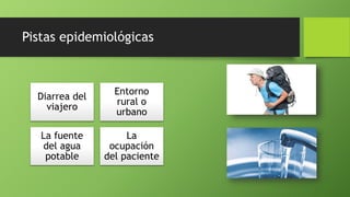 Pistas epidemiológicas
Diarrea del
viajero
Entorno
rural o
urbano
La fuente
del agua
potable
La
ocupación
del paciente
 