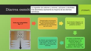 Diarrea osmótica
La ingestión de cationes y aniones, azúcares o alcoholes
mal absorbidos representa la mayoría de las diarreas
osmóticas.
Iones poco absorbibles:
Mg, S, P
Transportados activamente
por mecanismos saturados a
bajas concentraciones y
pasivamente por mecanismos
que son lentos
Ni el intestino delgado ni el
colon pueden mantener un
gradiente osmótico
los iones no absorbidos que
permanecen en la luz
intestinal obligan a la
retención de agua
osmolalidad intraluminal
igual a la de los fluidos
corporales (≈290 mOsm / kg).
Se retienen aproximadamente
3,5 ml de agua (1000 ml / kg
÷ 290 mOsm / kg) por cada 1
mOsm de iones o moléculas
retenidas
(FODMAP)
 