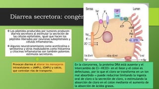 Diarrea secretora: congénita
 Los péptidos producidos por tumores producen
diarrea secretora al estimular la secreción de
las células epiteliales, igual que hacen los
péptidos liberados por neuronas subepiteliales y
células inflamatorias.
 Algunos neurotransmisores como acetilcolina o
serotonina y otros moduladores como histamina
y citocinas inflamatorias son también potentes
estímulos secretores.
Provocan diarrea al alterar los mensajeros
intracelulares (AMPc), (GMPc) y calcio,
que controlan vías de transporte.
En la clorurorrea, la proteína DRA está ausente y el
intercambio de Cl−-HCO3− en el íleon y el colon es
defectuoso, por lo que el cloro se transforma en un ion
mal absorbido puede reducirse limitando la ingesta
oral de cloro o la secreción de cloro, o estimulando la
absorción de cloro en el colon mediante el aumento de
la absorción de ácidos grasos.
 