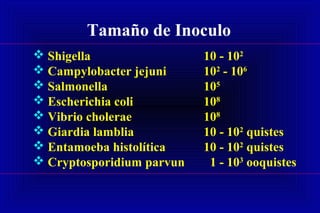 Tamaño de Inoculo
 Shigella 10 - 102
 Campylobacter jejuni 102
- 106
 Salmonella 105
 Escherichia coli 108
 Vibrio cholerae 108
 Giardia lamblia 10 - 102
quistes
 Entamoeba histolítica 10 - 102
quistes
 Cryptosporidium parvun 1 - 103
ooquistes
 