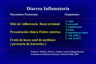 Diarrea Inflamatoria
Mecanismo Penetrante Organismos
Sitio de Adherencia Ileon terminal
Presentación clínica Fiebre entérica
Frotis de heces azul de metileno:
( presencia de leucocitos )
S. typhi
S. paratyphi
S. typhimurium
Yersinia
Campylobacter jejuni
E coli (EIEC)
E coli (EAEC)
Walter E. Wilson, Merle A. Sande. Current Diagnosis and
treatment in Infectious Diseases. McGraw-Hill, 2001
 