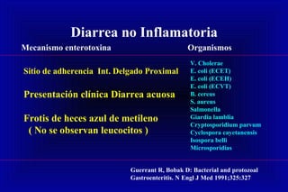 Diarrea no Inflamatoria
Mecanismo enterotoxina Organismos
Sitio de adherencia Int. Delgado Proximal
Presentación clínica Diarrea acuosa
Frotis de heces azul de metileno
( No se observan leucocitos )
V. Cholerae
E. coli (ECET)
E. coli (ECEH)
E. coli (ECVT)
B. cereus
S. aureus
Salmonella
Giardia lamblia
Cryptosporidium parvum
Cyclospora cayetanensis
Isospora belli
Microsporidias
Guerrant R, Bobak D: Bacterial and protozoal
Gastroenteritis. N Engl J Med 1991;325:327
 