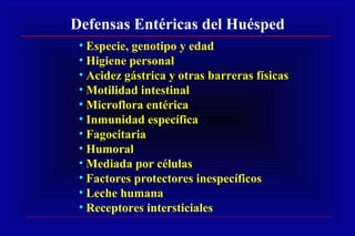 Defensas Entéricas del Huésped
• Especie, genotipo y edad
• Higiene personal
• Acidez gástrica y otras barreras físicas
• Motilidad intestinal
• Microflora entérica
• Inmunidad específica
• Fagocitaria
• Humoral
• Mediada por células
• Factores protectores inespecíficos
• Leche humana
• Receptores intersticiales
 