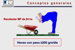 Recolectar MF de 24 hs C o n c e p t o s  g e n e r a l e s Heces con peso ≥200 grs/día 