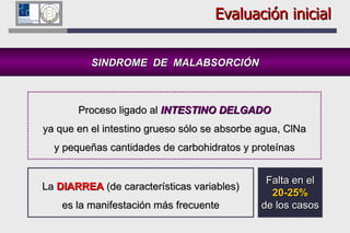 Evaluación inicial SINDROME  DE  MALABSORCIÓN Proceso ligado al  INTESTINO DELGADO ya que en el intestino grueso sólo se absorbe agua, ClNa y pequeñas cantidades de carbohidratos y proteínas La  DIARREA  (de características variables) es la manifestación más frecuente Falta en el 20-25% de los casos 