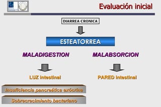 Evaluación inicial MALADIGESTION MALABSORCION ESTEATORREA LUZ intestinal PARED intestinal DIARREA CRONICA Insuficiencia pancreática exócrina Sobrecrecimiento bacteriano 