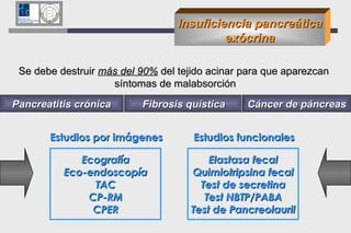 Insuficiencia pancreática exócrina Se debe destruir  más del 90%  del tejido acinar para que aparezcan  síntomas de malabsorción Pancreatitis crónica Fibrosis quística Cáncer de páncreas Estudios por imágenes Ecografía Eco-endoscopía TAC CP-RM CPER Estudios funcionales Elastasa fecal Quimiotripsina fecal Test de secretina Test NBTP/PABA Test de Pancreolauril 