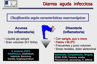 Salmonella ,  Campylobacter ,  Shigella , ECEH, ECEI, Yersinia, ameba,  Plesiomonas, aeromonas, C. difficile Clasificación según características macroscópicas Acuosa (no inflamatoria) Disentería (inflamatoria) Líquida  sin  sangre Gran volumen (h/1 lt/día) Con  sangre, pus o moco Fiebre >38.5ºC Frecuentes y poco volumen Smas rectales, dolor abdominal V. cholerae ,  ECET , Estafilococo , clostridium, rotavirus, Norovirus,  Giardia, Cryptosporidium  Diarrea  aguda  infecciosa 