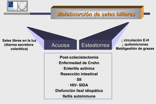 Malabsorción de sales biliares Acuosa Esteatorrea Sales libres en la luz (diarrea secretora  colerética) ↓  circulación E-H ↓  quilomicrones Maldigestión de grasas Post-colecistectomía Enfermedad de Crohn Enteritis actínica Resección intestinal SII HIV- SIDA Disfunción ileal idiopática Ileítis autoinmune 