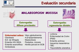 MALABSORCION  MUCOSA Enteropatías  difusas proximales Enteropatías segmentarias distales Linfoma Enfermedad de Crohn IPSID Enteritis actínica Isquemia mesentérica TBC Yeyunoileítis ulcerativa Evaluación secundaria Enfermedad celíaca   Giardiasis Enf. de Whipple Enteritis HIV-SIDA  Enteritis eosinofílica Amiloidosis   Hipo-  globulinemia  A-  -lipoproteinemia  Mastocitosis Parásitos, micosis Atrofia parcial en SCB 