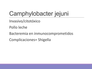 Camphylobacter jejuni
Invasivo/citotóxico
Pollo leche
Bacteremia en inmunocomprometidos
Complicaciones= Shigella
 