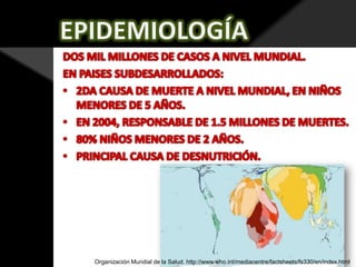 Organización Mundial de la Salud. http://www.who.int/mediacentre/factsheets/fs330/en/index.html

 