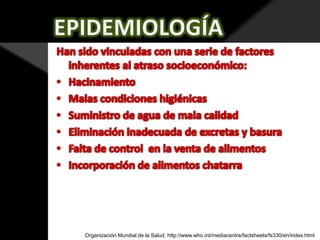 Organización Mundial de la Salud. http://www.who.int/mediacentre/factsheets/fs330/en/index.html

 