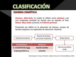 Acuosa, alternante, la madre la refiere como pastosa, con
una moderada cantidad de líquido que se expulsa al final.
Gases. Muy ácida, provoca un eritema perianal.
Producida por déficit en la absorción de lactosa, exceso de
lactosa respecto a la capacidad de absorción intestinal.

Sobrealimentación

Exceso de lactosa
en lumen intestinal

Carbohidratos

Rotavirus

E. Coli (ECEP,AD,Eagg)

Giardia lamblia

Cryptosporidium p.

Laxantes

Ácido láctico

Diarrea osmótica
ácida

Diarrea Aguda, Temas de Pediatría. Valdés, Gómez. Ed. Ciencias Médicas, 2005..

 