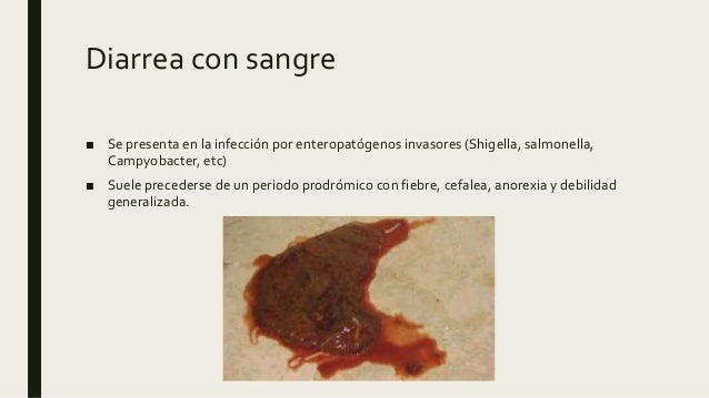 Como Se Dice Diarrea Con Sangre En Terminos Medicos
