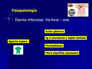 Fisiopatología
Diarrea infecciosa: Vía fecal – oral.
Agente supera
Acido gástrico
Peristaltismo
Flora saprófita supresora
Ig A secretoria y tejido linfoide
 
