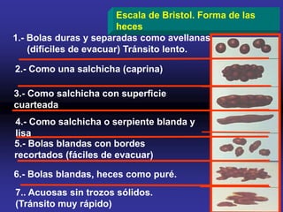 Escala de Bristol. Forma de las
heces
1.- Bolas duras y separadas como avellanas
(difíciles de evacuar) Tránsito lento.
2.- Como una salchicha (caprina)
3.- Como salchicha con superficie
cuarteada
4.- Como salchicha o serpiente blanda y
lisa
5.- Bolas blandas con bordes
recortados (fáciles de evacuar)
6.- Bolas blandas, heces como puré.
7.. Acuosas sin trozos sólidos.
(Tránsito muy rápido)
 