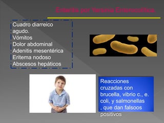 Enteritis por Yersinia Enterocolítica.
Cuadro diarreico
agudo.
Vómitos
Dolor abdominal
Adenitis mesentérica
Eritema nodoso
Abscesos hepáticos
Reacciones
cruzadas con
brucella, vibrio c., e.
coli, y salmonellas
, que dan falsoos
positivos
 