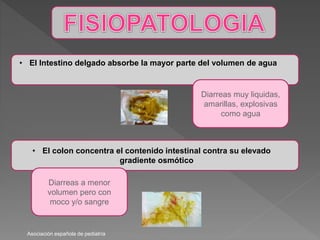 • El Intestino delgado absorbe la mayor parte del volumen de agua
Diarreas muy liquidas,
amarillas, explosivas
como agua
• El colon concentra el contenido intestinal contra su elevado
gradiente osmótico
Diarreas a menor
volumen pero con
moco y/o sangre
Asociación española de pediatría
 