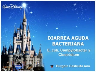 DIARREA AGUDA
BACTERIANA
E. coli, Campylobacter y
Clostridium
Burgoin Castruita Ana
 