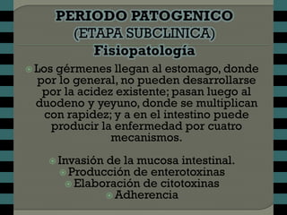 Los
    gérmenes llegan al estomago, donde
 por lo general, no pueden desarrollarse
  por la acidez existente; pasan luego al
 duodeno y yeyuno, donde se multiplican
  con rapidez; y a en el intestino puede
   producir la enfermedad por cuatro
               mecanismos.
     Invasión de la mucosa intestinal.
       Producción de enterotoxinas
        Elaboración de citotoxinas
                Adherencia
 