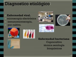  Enfermedad viral.
 microscopia electrónica
 inmunomicroscopia,
 por cultivo.




                            Enfermedad bacteriana:
                                  Coprocultivo
                                técnica serología
                                   bioquímicas
 