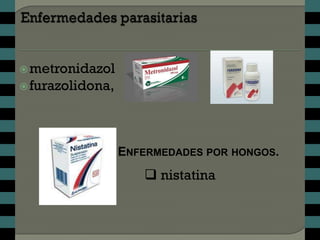  metronidazol
 furazolidona,




                  ENFERMEDADES POR HONGOS.
                      nistatina
 