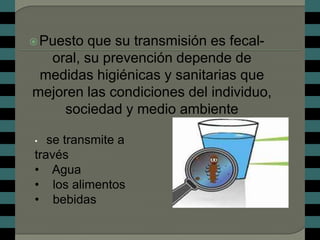  Puestoque su transmisión es fecal-
  oral, su prevención depende de
 medidas higiénicas y sanitarias que
mejoren las condiciones del individuo,
    sociedad y medio ambiente

•  se transmite a
través
• Agua
• los alimentos
• bebidas
 