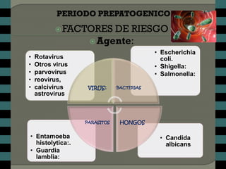  FACTORES    DE RIESGO
                    Agente:
                                           • Escherichia
•   Rotavirus                                coli.
•   Otros virus                            • Shigella:
•   parvovirus                             • Salmonella:
•   reovirus,
•   calcivirus     VIRUS:     BACTERIAS:
    astrovirus



                  PARASITOS    HONGOS

• Entamoeba                                 • Candida
  histolytica:.                               albicans
• Guardia
  lamblia:
 
