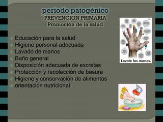  Educación para la salud
 Higiene personal adecuada
 Lavado de manos
 Baño general
 Disposición adecuada de excretas
 Protección y recolección de basura
 Higiene y conservación de alimentos
 orientación nutricional
 