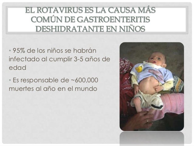 Si es posible a los gatos al mismo tiempo envenenar las lombrices y las pulgas