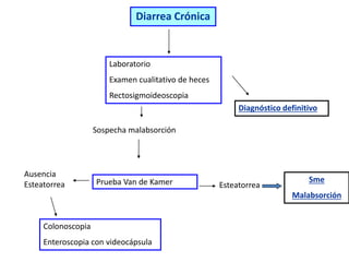 Diarrea Crónica
Laboratorio
Examen cualitativo de heces
Rectosigmoideoscopia
Diagnóstico definitivo
Sospecha malabsorción
Prueba Van de Kamer Esteatorrea
Sme
Malabsorción
Colonoscopia
Enteroscopia con videocápsula
Ausencia
Esteatorrea
 