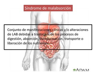 Conjunto de manifestaciones clínicas y/o alteraciones
de LAB debidas a trastornos de los procesos de
digestión, absorción, transformación, transporte o
liberación de los nutrientes.
Síndrome de malabsorción
 