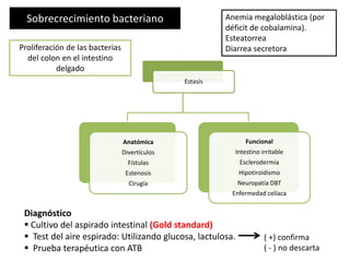 Sobrecrecimiento bacteriano
Estasis
Anatómica
Divertículos
Fístulas
Estenosis
Cirugía
Funcional
Intestino irritable
Esclerodermia
Hipotiroidismo
Neuropatía DBT
Enfermedad celíaca
Diagnóstico
 Cultivo del aspirado intestinal (Gold standard)
 Test del aire espirado: Utilizando glucosa, lactulosa.
 Prueba terapéutica con ATB
( +) confirma
( - ) no descarta
Proliferación de las bacterias
del colon en el intestino
delgado
Anemia megaloblástica (por
déficit de cobalamina).
Esteatorrea
Diarrea secretora
 