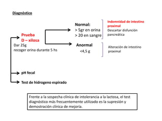 Prueba
D – xilosa
Dar 25g
recoger orina durante 5 hs
Normal:
> 5gr en orina
> 20 en sangre
Indemnidad de intestino
proximal
Descartar disfunción
pancreática
Anormal Alteración de intestino
proximal
pH fecal
Test de hidrogeno espirado
Diagnóstico
<4,5 g
Frente a la sospecha clínica de intolerancia a la lactosa, el test
diagnóstico más frecuentemente utilizado es la supresión y
demostración clínica de mejoría.
 
