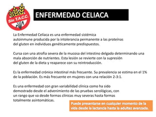 La Enfermedad Celíaca es una enfermedad sistémica
autoinmune producida por la intolerancia permanente a las proteínas
del gluten en individuos genéticamente predispuestos.
Cursa con una atrofia severa de la mucosa del intestino delgado determinando una
mala absorción de nutrientes. Esta lesión se revierte con la supresión
del gluten de la dieta y reaparece con su reintroducción.
Es la enfermedad crónica intestinal más frecuente. Su prevalencia se estima en el 1%
de la población. Es más frecuente en mujeres con una relación 2-3:1.
Es una enfermedad con gran variabilidad clínica como ha sido
demostrado desde el advenimiento de las pruebas serológicas, con
un rango que va desde formas clínicas muy severas hasta formas
totalmente asintomáticas.
 