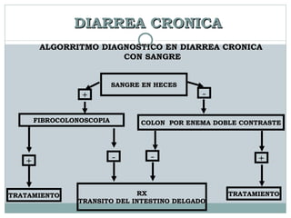 DIARREA CRONICA SANGRE EN HECES + - FIBROCOLONOSCOPIA COLON  POR ENEMA DOBLE CONTRASTE + + - - TRATAMIENTO TRATAMIENTO RX TRANSITO DEL INTESTINO DELGADO ALGORRITMO DIAGNOSTICO EN DIARREA CRONICA CON SANGRE 