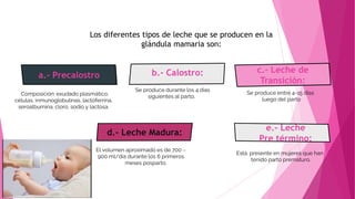 Precalostro diarrea completo presentación seminario ppt | PPTX