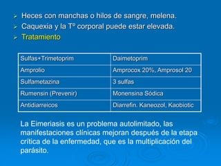 Amprocox Diarreas neonatales en rumiantes | PPT