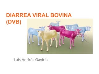DIARREA VIRAL BOVINA
(DVB)
Luis Andrés Gaviria
 