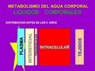 METABOLISMO DEL AGUA CORPORAL
LIQUIDOS CORPORALES
INTRACELULAR
PLASMA
INTERSTICIAL
TRANSCELULAR
TEJIDOS
DISTRIBUCION ANTES...