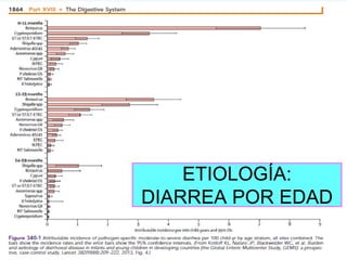 ETIOLOGÍA DE LAS DIARREAS
09/02/2016 27
1. INFECCIONES VIRALES
ROTAVIRUS
• Vómitos, Fiebre, dolor abdominal
• SS: Diarreas...