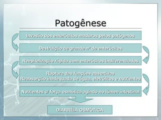 Patogênese Invasão dos enterócitos maduros pelos patógenos Destruição de grande nº de enterócitos Reepitelização rápida com enterócitos indiferenciados Ruptura das funções absortivas Reabsorção inadequada de água, eletrólitos e nutrientes DIARRÉIA OSMÓTICA Nutrientes c/ força osmótica agindo no lúmen intestinal 