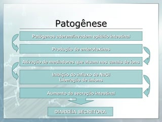 Patogênese Patógenos aderem/invadem epitélio intestinal Produção de enterotoxinas Ativação de mediadores que atuam nos canais de íons Inibição do influxo de NaCl Liberação de ânions DIARRÉIA SECRETORA Aumento da secreção intestinal 