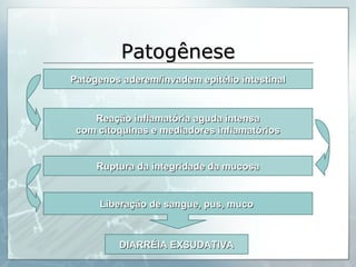 Patogênese Patógenos aderem/invadem epitélio intestinal Reação inflamatória aguda intensa com citoquinas e mediadores inflamatórios DIARRÉIA EXSUDATIVA Liberação de sangue, pus, muco  Ruptura da integridade da mucosa 
