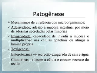 Patogênese Mecanismos de virulência dos microorganismos: Adesividade:  adesão à mucosa intestinal por meio de adesinas secretadas pelas fímbrias Invasividade:  capacidade de invadir a mucosa e multiplicar-se nas células epiteliais ou atingir a lâmina própria Toxigênese: Enterotoxinas    secreção exagerada de sais e água Citotoxinas    lesam a célula e causam necrose do tecido 