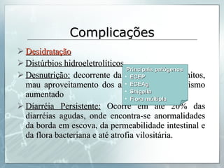Complicações Desidratação Distúrbios hidroeletrolíticos Desnutrição:  decorrente da inapetência e vômitos, mau aproveitamento dos alimentos e catabolismo aumentado Diarréia Persistente:  Ocorre em até 20% das diarréias agudas, onde encontra-se anormalidades da borda em escova, da permeabilidade intestinal e da flora bacteriana e até atrofia vilositária. Principais patógenos ECEP ECEAg Shigella Flora múltipla 