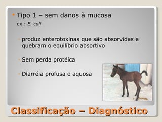 Classificação – Diagnóstico Tipo 1 – sem danos à mucosa ex.:  E. coli produz enterotoxinas que são absorvidas e quebram o equilíbrio absortivo Sem perda protéica Diarréia profusa e aquosa 